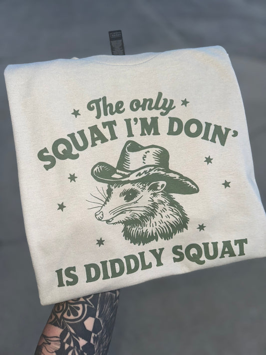 DIDDLY SQUAT