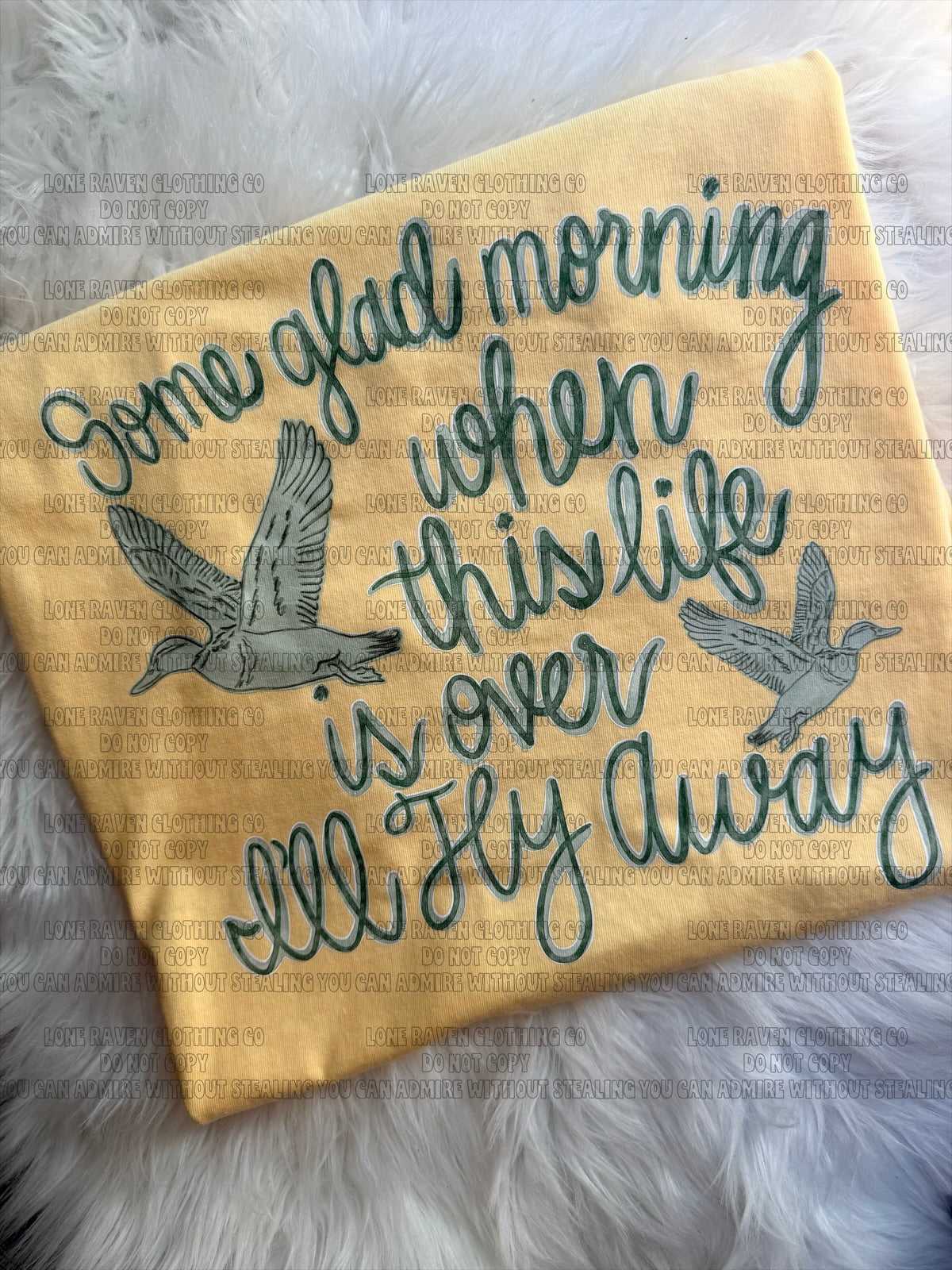 I’ll fly away